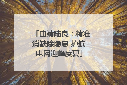 曲靖陆良：精准消缺除隐患 护航电网迎峰度夏