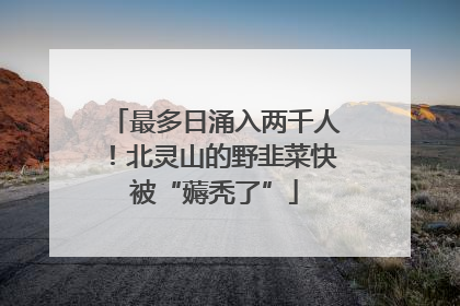 最多日涌入两千人！北灵山的野韭菜快被“薅秃了”