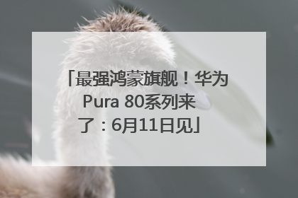 最强鸿蒙旗舰！华为Pura 80系列来了：6月11日见