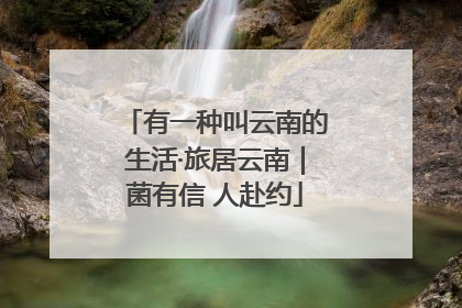 有一种叫云南的生活·旅居云南｜菌有信 人赴约