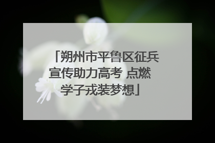 朔州市平鲁区征兵宣传助力高考 点燃学子戎装梦想