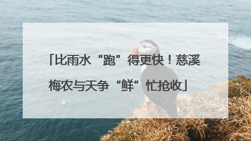 比雨水“跑”得更快！慈溪梅农与天争“鲜”忙抢收