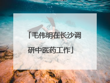 毛伟明在长沙调研中医药工作