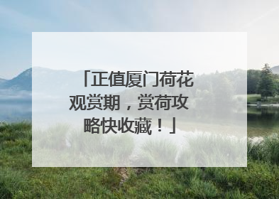 正值厦门荷花观赏期，赏荷攻略快收藏！