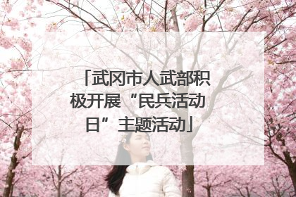 武冈市人武部积极开展“民兵活动日”主题活动
