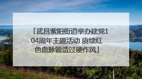 武昌紫阳街道举办建党104周年主题活动 赓续红色血脉锻造过硬作风
