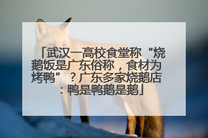 武汉一高校食堂称“烧鹅饭是广东俗称，食材为烤鸭”？广东多家烧鹅店：鸭是鸭鹅是鹅