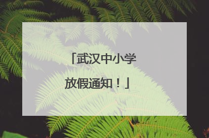 武汉中小学放假通知！