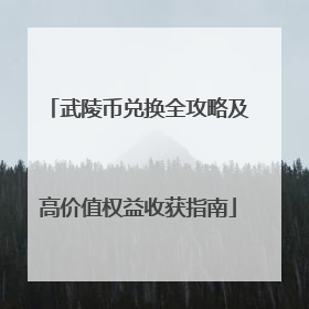 武陵币兑换全攻略及高价值权益收获指南