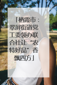 栖霞市：翠屏街道党工委领办联合社让“农特好品”香飘四方