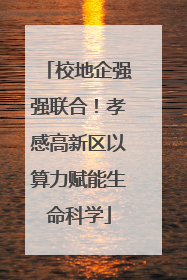 校地企强强联合！孝感高新区以算力赋能生命科学
