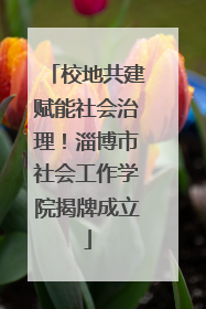 校地共建赋能社会治理！淄博市社会工作学院揭牌成立