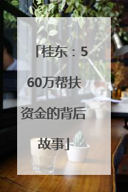 桂东：560万帮扶资金的背后故事
