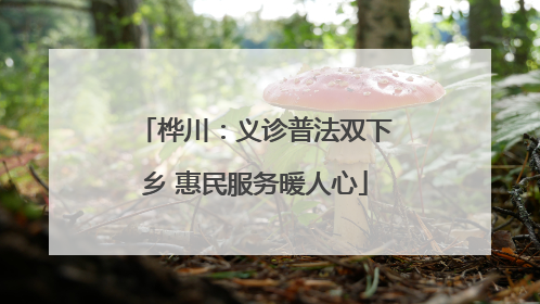 桦川：义诊普法双下乡 惠民服务暖人心