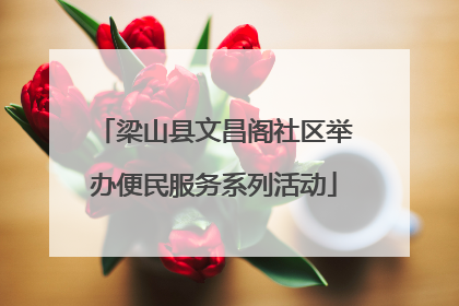 梁山县文昌阁社区举办便民服务系列活动