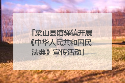 梁山县馆驿镇开展《中华人民共和国民法典》宣传活动