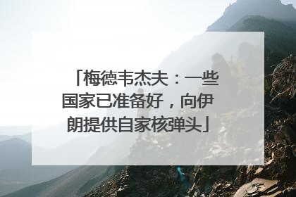梅德韦杰夫：一些国家已准备好，向伊朗提供自家核弹头