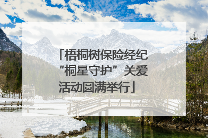 梧桐树保险经纪“桐星守护”关爱活动圆满举行