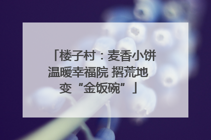 楼子村：麦香小饼温暖幸福院 撂荒地变“金饭碗”