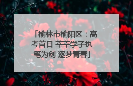 榆林市榆阳区：高考首日 莘莘学子执笔为剑 逐梦青春