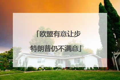 欧盟有意让步 特朗普仍不满意