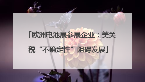 欧洲电池展参展企业：美关税“不确定性”阻碍发展