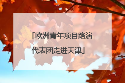 欧洲青年项目路演代表团走进天津
