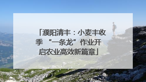 濮阳清丰：小麦丰收季 “一条龙”作业开启农业高效新篇章