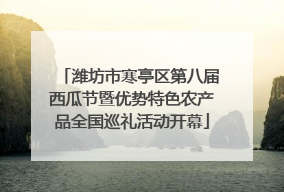 潍坊市寒亭区第八届西瓜节暨优势特色农产品全国巡礼活动开幕