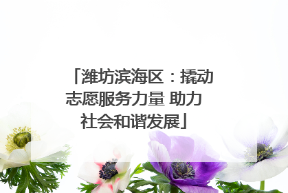 潍坊滨海区：撬动志愿服务力量 助力社会和谐发展