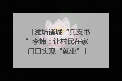 潍坊诸城“兵支书”李炜：让村民在家门口实现“就业”