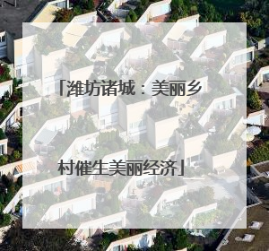 潍坊诸城：美丽乡村催生美丽经济