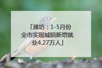 潍坊：1-5月份全市实现城镇新增就业4.27万人