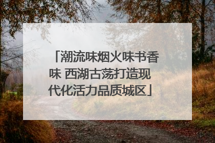 潮流味烟火味书香味 西湖古荡打造现代化活力品质城区