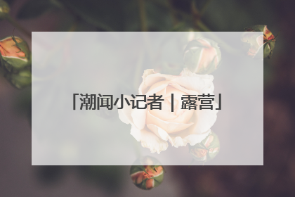 潮闻小记者｜露营