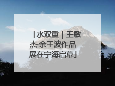 水双重｜王敏杰·余王波作品展在宁海启幕