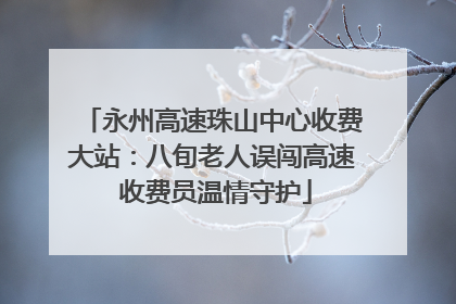 永州高速珠山中心收费大站：八旬老人误闯高速 收费员温情守护
