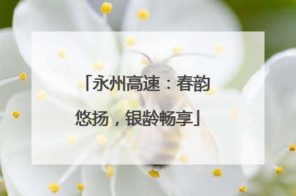 永州高速：春韵悠扬，银龄畅享