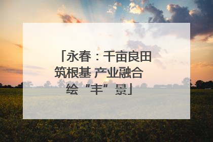 永春：千亩良田筑根基 产业融合绘“丰”景