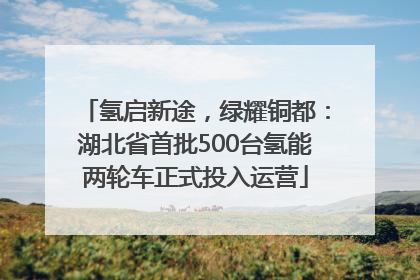 氢启新途，绿耀铜都：湖北省首批500台氢能两轮车正式投入运营