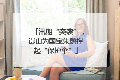 汛期“突袭”，崀山为国宝朱鹮撑起“保护伞”