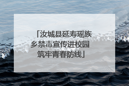 汝城县延寿瑶族乡禁毒宣传进校园 筑牢青春防线