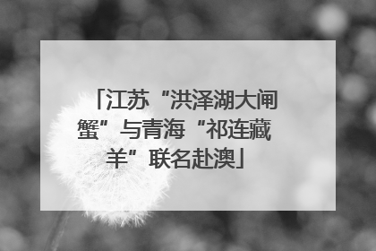 江苏“洪泽湖大闸蟹”与青海“祁连藏羊”联名赴澳
