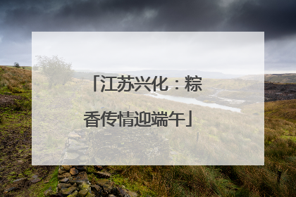 江苏兴化：粽香传情迎端午