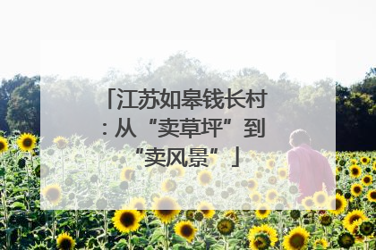 江苏如皋钱长村：从“卖草坪”到“卖风景”