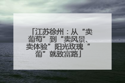 江苏徐州：从“卖葡萄”到“卖风景、卖体验”阳光玫瑰“葡”就致富路