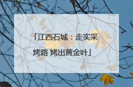 江西石城：走实采烤路 烤出黄金叶
