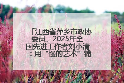 江西省萍乡市政协委员、2025年全国先进工作者刘小清：用“慢的艺术”铺就“爱的长征”