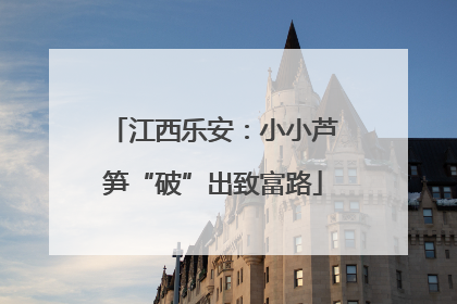 江西乐安：小小芦笋“破”出致富路