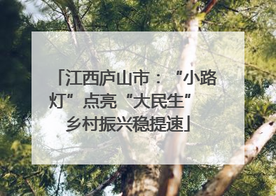 江西庐山市：“小路灯”点亮“大民生” 乡村振兴稳提速